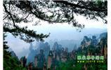 【純玩獨立成團線路1】張家界、袁家界、天子山、寶峰湖/黃龍洞二晚三日