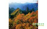 長(zhǎng)沙往返張家界、天子山、寶峰湖/黃龍洞三日游