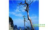 湘西之旅：張家界、天子山、寶峰湖/黃龍洞、鳳凰古城、猛洞河漂流、天門山六日游