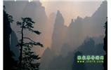 張家界國家森林公園、寶峰湖/黃龍洞、鳳凰古城、三峽八日游