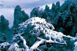 【純玩散拼線路17】張家界、天子山、芙蓉鎮(zhèn)、猛洞河漂流、鳳凰古城三晚四日游