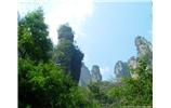 【純玩拼團(tuán)線路 張家界出發(fā)A2線】張家界、袁家界、天子山、金鞭溪、鳳凰古城2晚3日游